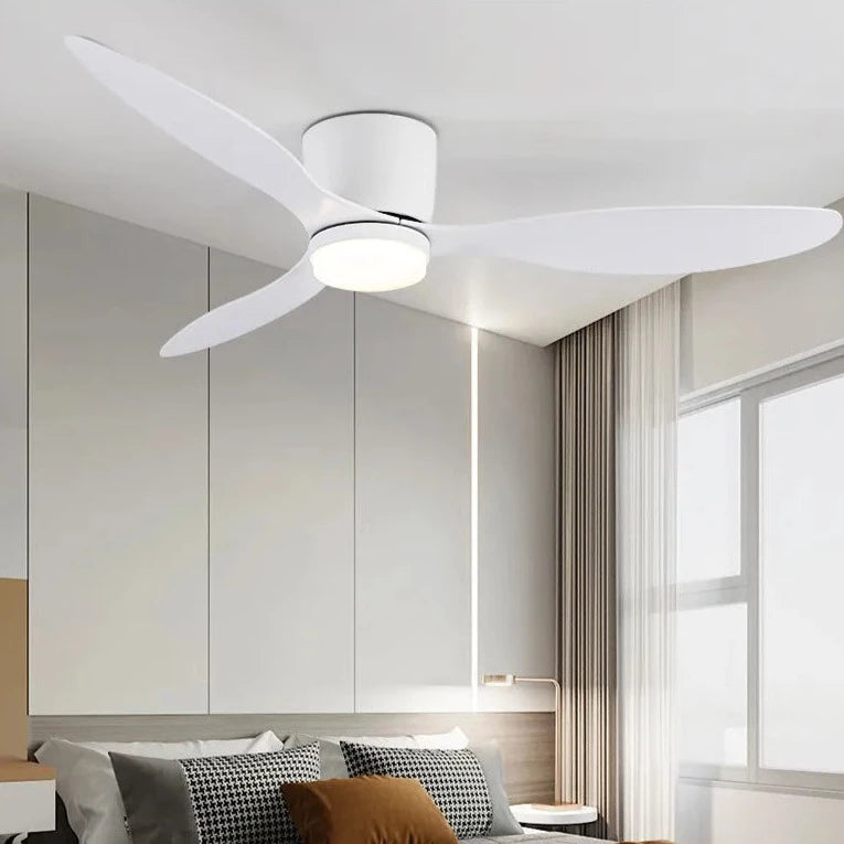 Ceiling Fan with Lamp