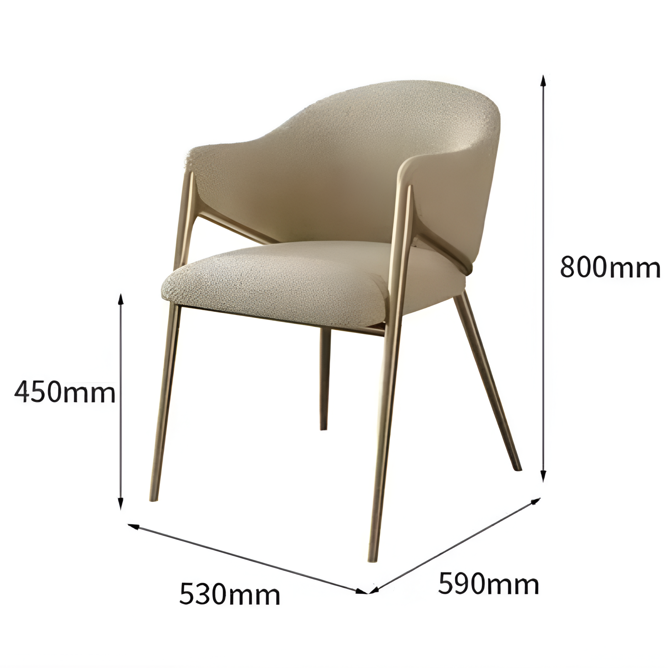 Modern Dining Chair